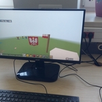 symbole_narodowe_w_minecraft (11).jpg