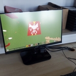 symbole_narodowe_w_minecraft (12).jpg