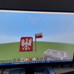 symbole_narodowe_w_minecraft_ (17).jpg