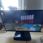 symbole_narodowe_w_minecraft_ (26).jpg