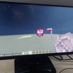 symbole_narodowe_w_minecraft_ (45).jpg