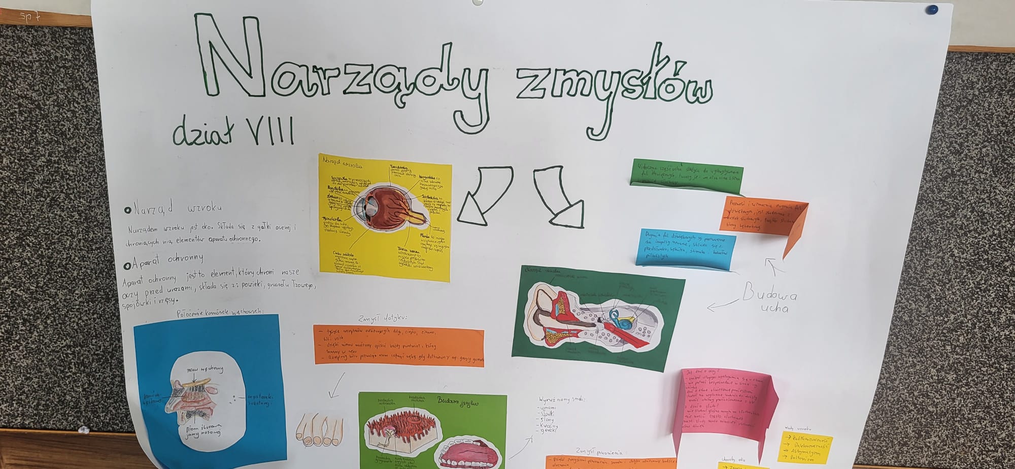 projekt_narzady_zmyslow (16).jpg