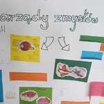 projekt_narzady_zmyslow (16).jpg