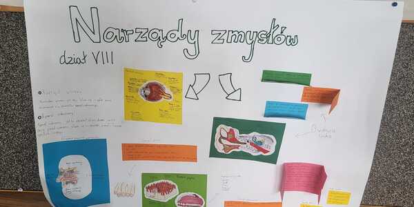 projekt_narzady_zmyslow (16).jpg