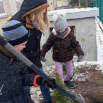 sadzenie_drzewka_klasy1 (4).jpg