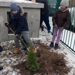 sadzenie_drzewka_klasy1 (8).jpg