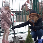 sadzenie_drzewka_klasy1 (30).jpg