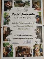 pomoc_dla_schroniska_dla_zwierzat (1).jpg
