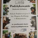 pomoc_dla_schroniska_dla_zwierzat (1).jpg