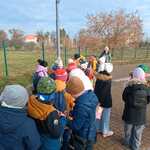 polkolonie_sp7_cz1 (45).jpg