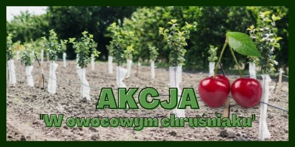 akcja_w_owocowym_chrusniaku.jpg