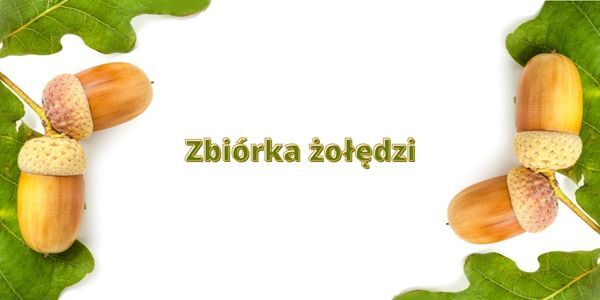 ZBIÓRKA ŻOŁĘDZI.jpg