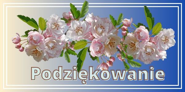 podziekowanie_za_licytacje.jpg