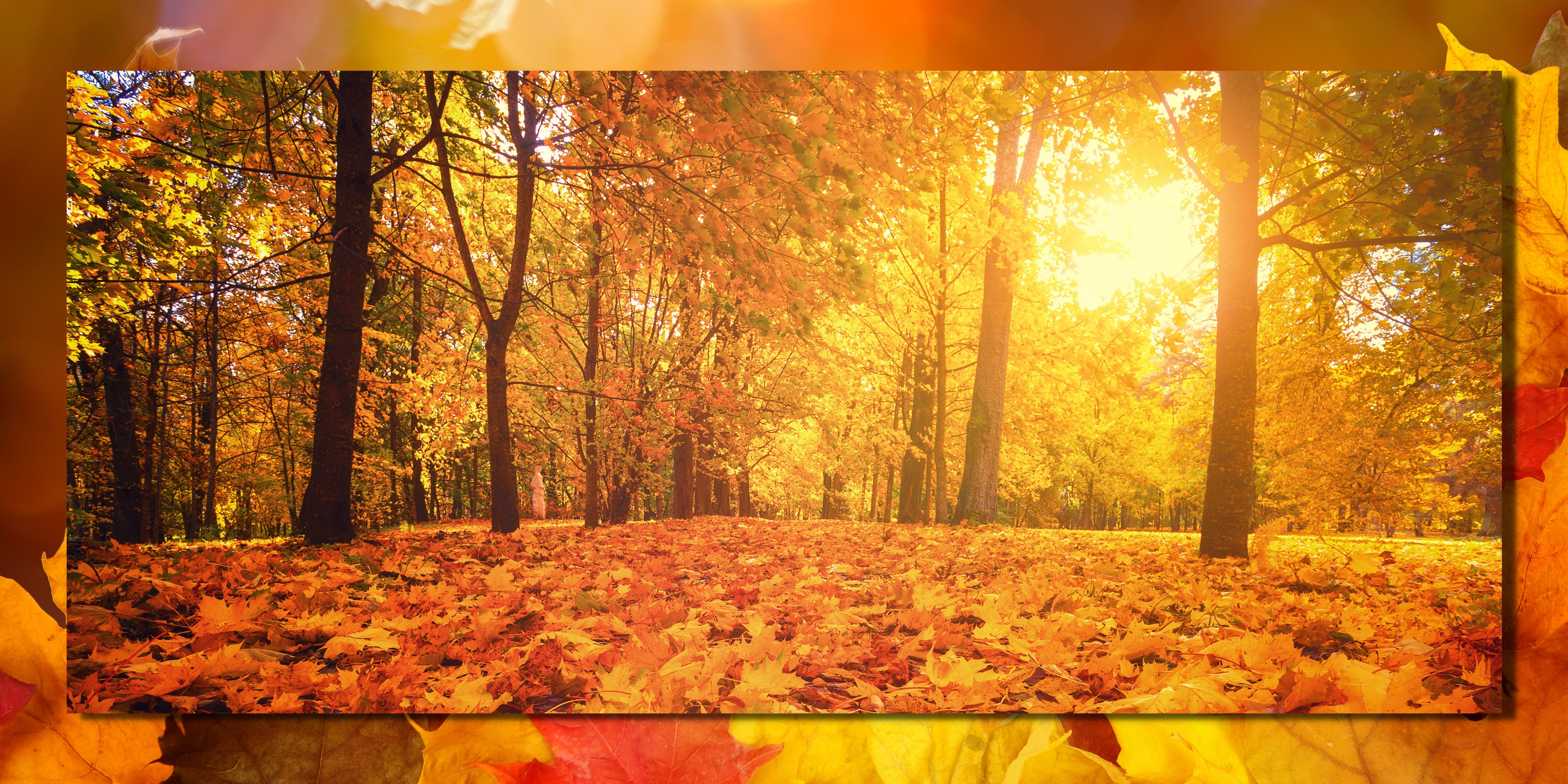 autumn.jpg