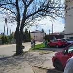 czysty_bialystok (11).jpg