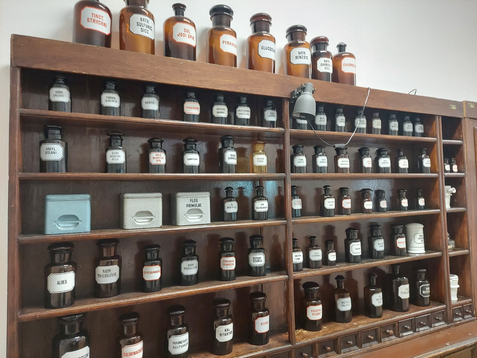 5a_w_muzeum_farmacji (4).jpg