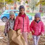 ratujmy_kasztanowce_sp7 (40).jpg