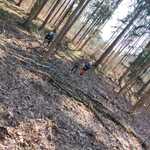 zajecia_edukacyjne_co_slychac_wiosna_w_nadlesnictwie_dojlidy_15.jpg