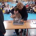 obchody_miedzynarodowego_dnia_osob_z_niepelnosprawnosciami_w_sp7_7.jpg