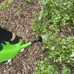 swietlicowy_owocowy_zakatek_20.jpg