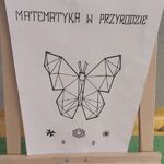 rozwiazanie_konkursow_matematycznych (8).jpg