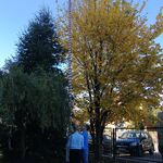 Dzien_Edukacji_Narodowej_SP7_2022 (1).jpg