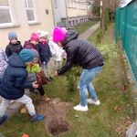sadzenie_drzewek_przez_klasy_1 (4).jpg
