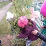sadzenie_drzewek_przez_klasy_1 (5).jpg
