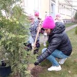 sadzenie_drzewek_przez_klasy_1 (7).jpg