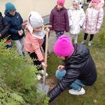 sadzenie_drzewek_przez_klasy_1 (8).jpg