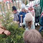 sadzenie_drzewek_przez_klasy_1 (32).jpg
