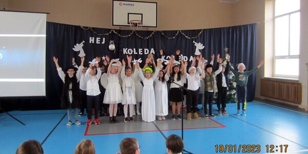 przeglad_koled (3).jpg