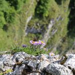 wycieczka_pieniny_6a_8a_i_8d (4).JPG