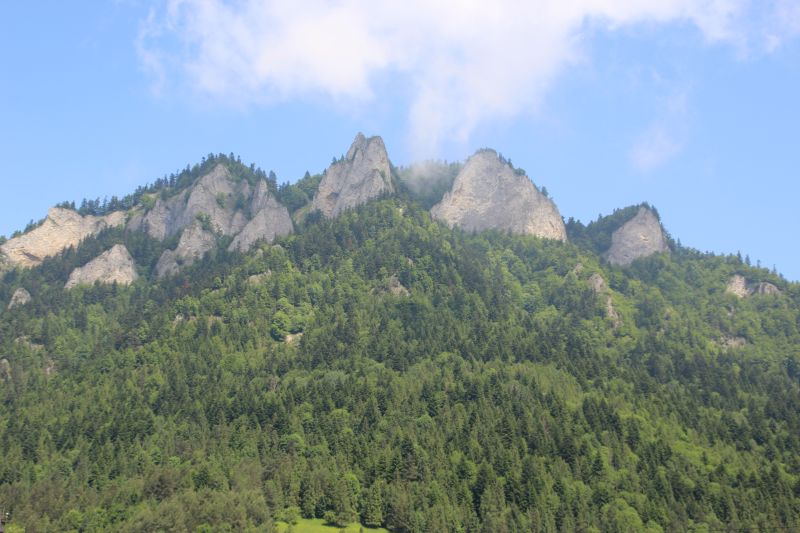 wycieczka_pieniny_6a_8a_i_8d (15).JPG