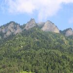 wycieczka_pieniny_6a_8a_i_8d (15).JPG