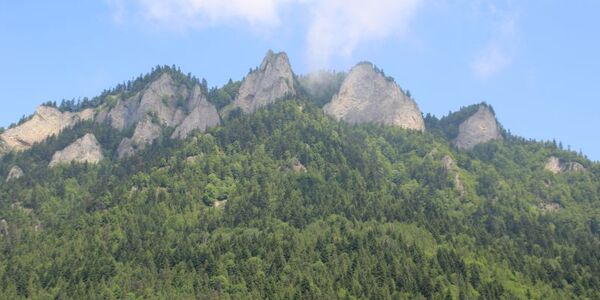 wycieczka_pieniny_6a_8a_i_8d (15).JPG