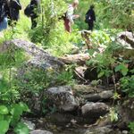wycieczka_pieniny_6a_8a_i_8d (31).JPG