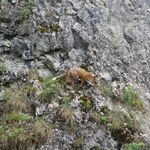 wycieczka_pieniny_6a_8a_i_8d (45).JPG
