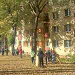 sprzatamy_dla_Polski (6).jpg