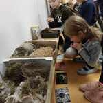 warsztaty_lesne_klas_I_III (3).jpeg