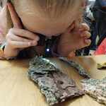 warsztaty_lesne_klas_I_III (14).jpeg