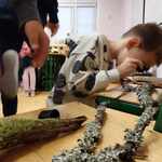 warsztaty_lesne_klas_I_III (19).jpeg