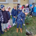sadzenie_drzewka_1a (10).jpg