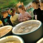 wycieczka_centrum_przyrodnicze_2a_2b (70).jpg