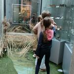 wycieczka_centrum_przyrodnicze_2a_2b (78).jpg